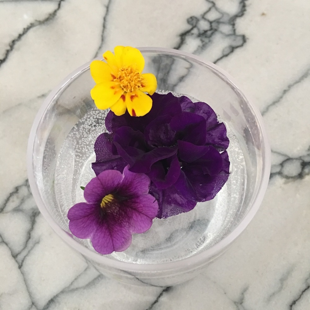 Meet your Posher, Heide